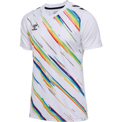 hummel hmlMATCH Triumph Fußballtrikot 9639 -...