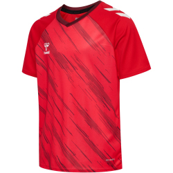 hummel hmlMATCH Triumph Fußballtrikot 3826 - true...