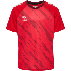 hummel hmlMATCH Triumph Fußballtrikot 3826 - true...