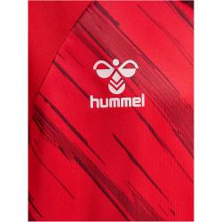 hummel hmlMATCH Triumph Fußballtrikot 3826 - true...
