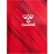 hummel hmlMATCH Triumph Fußballtrikot 3826 - true red/zinfandel 116