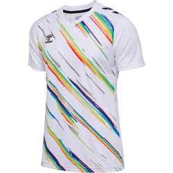 hummel hmlMATCH Triumph Fußballtrikot 9639 - white/multicolor S