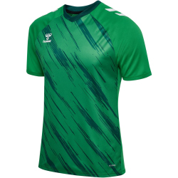 hummel hmlMATCH Triumph Fußballtrikot 6439 - jelly bean/botanical garden S