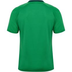 hummel hmlMATCH Triumph Fußballtrikot 6439 - jelly bean/botanical garden S
