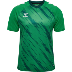 hummel hmlMATCH Triumph Fußballtrikot 6439 - jelly bean/botanical garden S