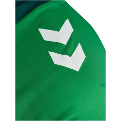 hummel hmlMATCH Triumph Fußballtrikot 6439 - jelly bean/botanical garden S