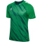 hummel hmlMATCH Triumph Fußballtrikot 6439 - jelly bean/botanical garden S