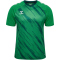 hummel hmlMATCH Triumph Fußballtrikot 6439 - jelly bean/botanical garden S