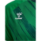 hummel hmlMATCH Triumph Fußballtrikot 6439 - jelly bean/botanical garden S