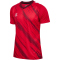 hummel hmlMATCH Triumph Fußballtrikot 3826 - true red/zinfandel XS