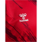 hummel hmlMATCH Triumph Fußballtrikot 3826 - true red/zinfandel XS