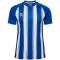hummel hmlMATCH Striped Fußballtrikot 7691 - true blue/white 128