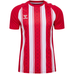 hummel hmlMATCH Striped Fußballtrikot 3946 - true...
