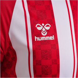 hummel hmlMATCH Striped Fußballtrikot 3946 - true...