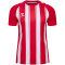 hummel hmlMATCH Striped Fußballtrikot 3946 - true red/white 116