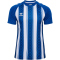 hummel hmlMATCH Striped Fußballtrikot 7691 - true blue/white S