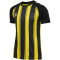 hummel hmlMATCH Striped Fußballtrikot 5800 - blazing yellow/black XS