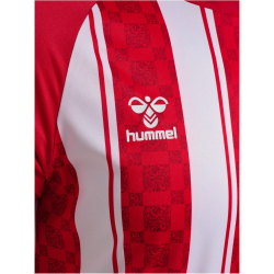 hummel hmlMATCH Striped Fußballtrikot 3946 - true red/white XS