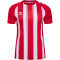hummel hmlMATCH Striped Fußballtrikot 3946 - true red/white XS