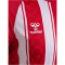 hummel hmlMATCH Striped Fußballtrikot 3946 - true red/white XL