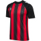hummel hmlMATCH Striped Fußballtrikot 3081 - true red/black S