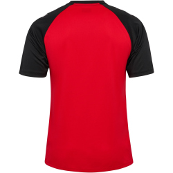 hummel hmlMATCH Striped Fußballtrikot 3081 - true red/black XL