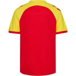 hummel hmlMATCH League Fußballtrikot 3719 - true...