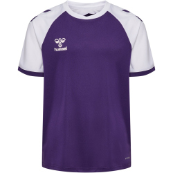 hummel hmlMATCH League Fußballtrikot 3332 - acai/white 116
