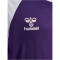 hummel hmlMATCH League Fußballtrikot 3332 - acai/white 116