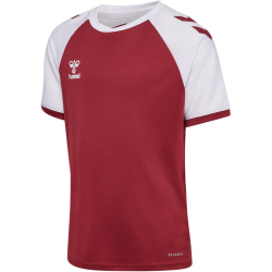 hummel hmlMATCH League Fußballtrikot 3035 - maroon/white 116