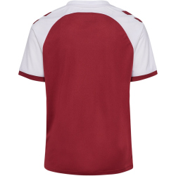 hummel hmlMATCH League Fußballtrikot 3035 - maroon/white 116
