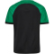 hummel hmlMATCH League Fußballtrikot 2155 - black/jelly bean 140