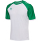 hummel hmlMATCH League Fußballtrikot 9230 - white/jelly bean S