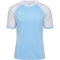 hummel hmlMATCH League Fußballtrikot 7473 - argentina blue/white XS