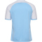 hummel hmlMATCH League Fußballtrikot 7473 - argentina blue/white S