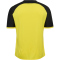 hummel hmlMATCH League Fußballtrikot 5800 - blazing yellow/black S