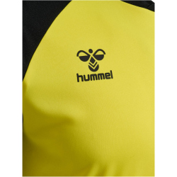 hummel hmlMATCH League Fußballtrikot 5800 - blazing...