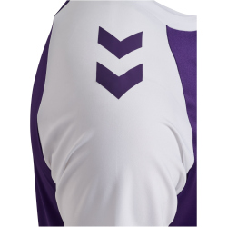 hummel hmlMATCH League Fußballtrikot 3332 - acai/white XS
