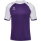 hummel hmlMATCH League Fußballtrikot 3332 - acai/white S