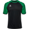 hummel hmlMATCH League Fußballtrikot 2155 - black/jelly bean XS