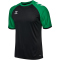 hummel hmlMATCH League Fußballtrikot 2155 - black/jelly bean M