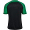 hummel hmlMATCH League Fußballtrikot 2155 - black/jelly bean M
