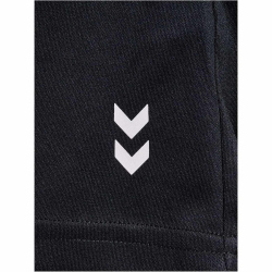 hummel hmlPULSE Trainingsshorts Damen 2001 - black XS
