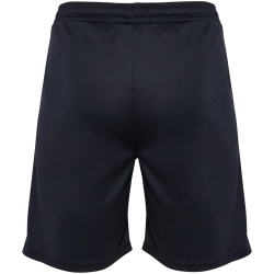 hummel hmlPULSE Trainingsshorts Herren 2001 - black S
