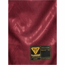 hummel hmlLOOSE Bay Fußballtrikot 3726 - syrah XS