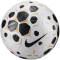 NIKE Control Fußball Spielball 100 - white/black/black 5