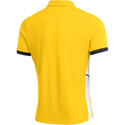 NIKE Academy 25 Dri-FIT Poloshirt Herren 719 - tour...