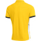 NIKE Academy 25 Dri-FIT Poloshirt Herren 719 - tour yellow/black/white/black S