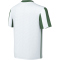NIKE Division V Dri-FIT Stripe Trikot Kinder 103 - white/pine green/black XS (122-128 cm)