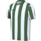NIKE Division V Dri-FIT Stripe Trikot Kinder 103 - white/pine green/black L (147-158 cm)